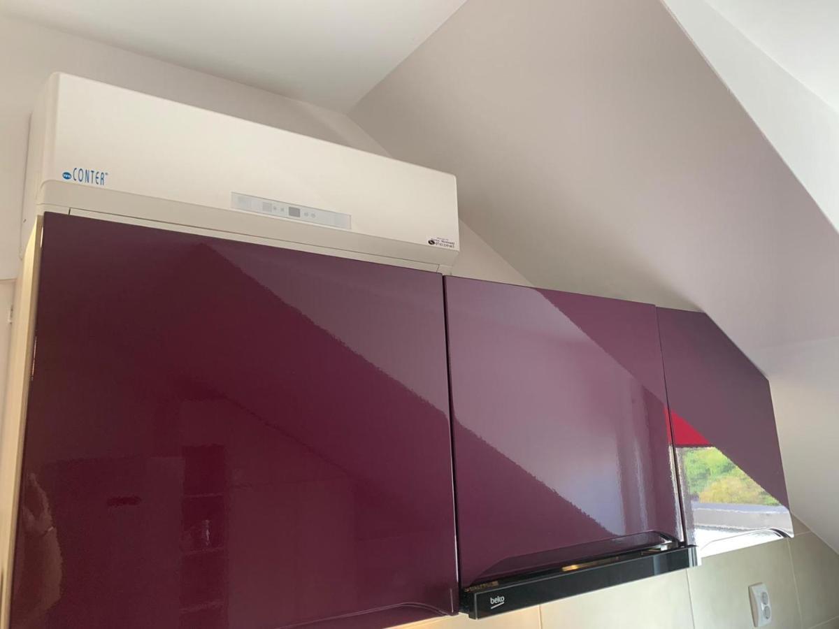 Simona Apartament Palas Mall 雅西 外观 照片