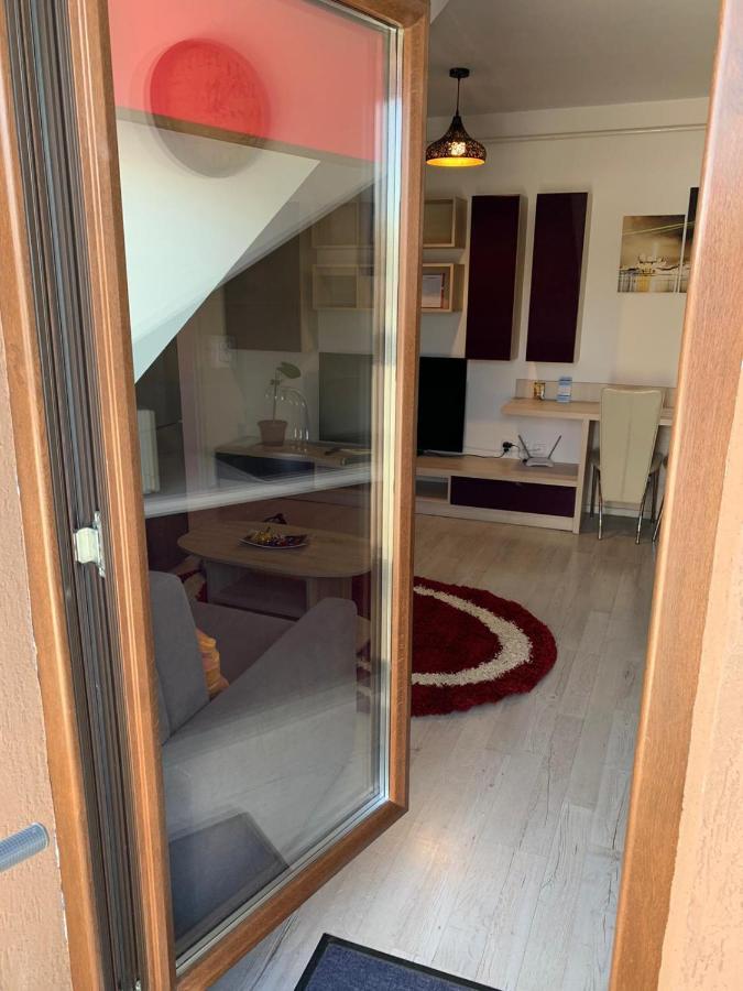Simona Apartament Palas Mall 雅西 外观 照片
