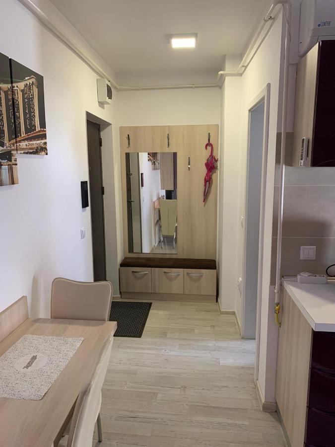 Simona Apartament Palas Mall 雅西 外观 照片