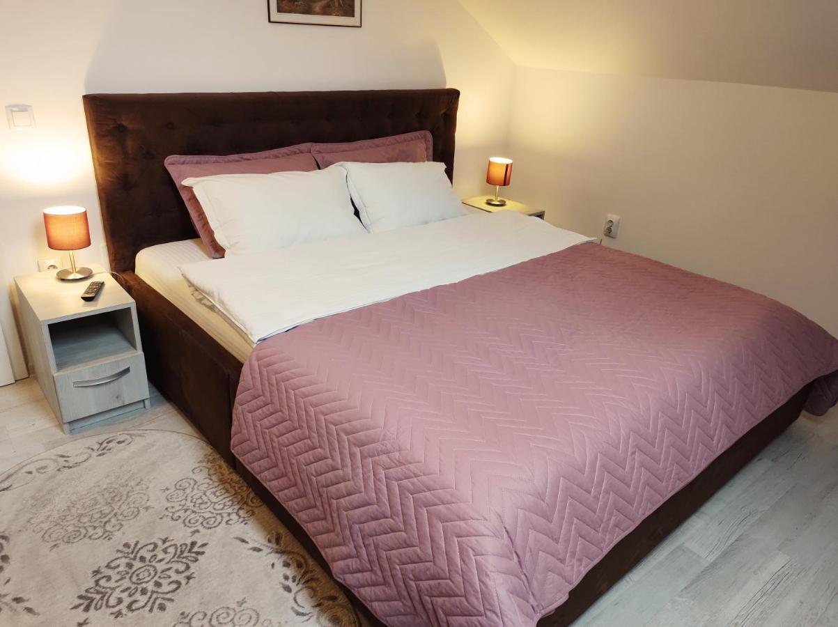Simona Apartament Palas Mall 雅西 外观 照片