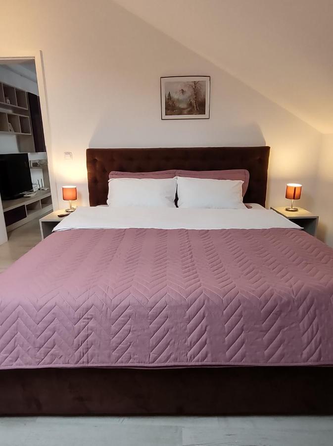 Simona Apartament Palas Mall 雅西 外观 照片