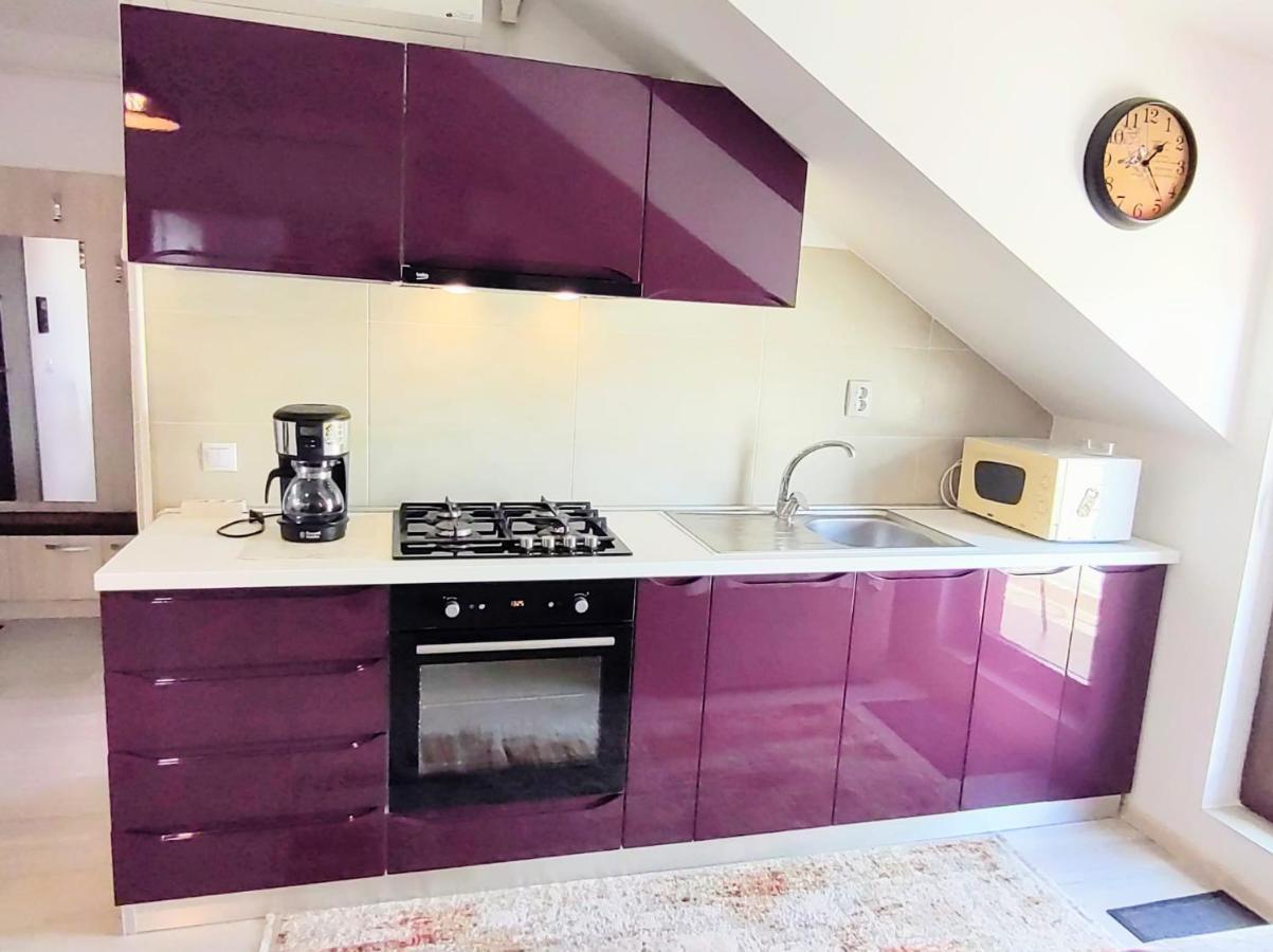 Simona Apartament Palas Mall 雅西 外观 照片