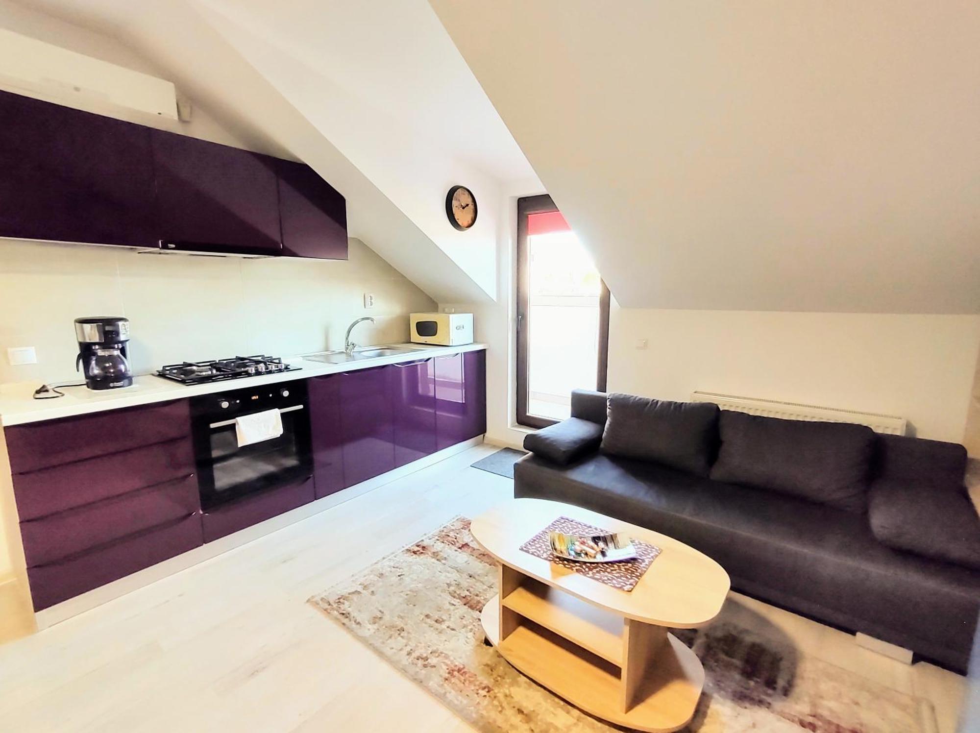 Simona Apartament Palas Mall 雅西 外观 照片