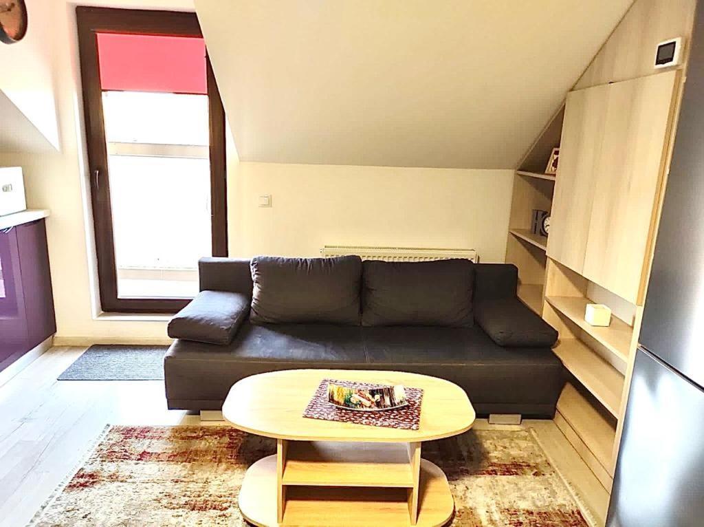 Simona Apartament Palas Mall 雅西 外观 照片