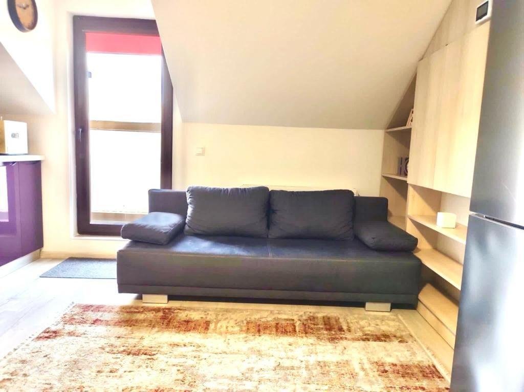 Simona Apartament Palas Mall 雅西 外观 照片